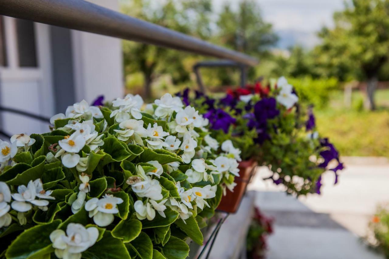 Apartments Heaven Cetinje Bagian luar foto